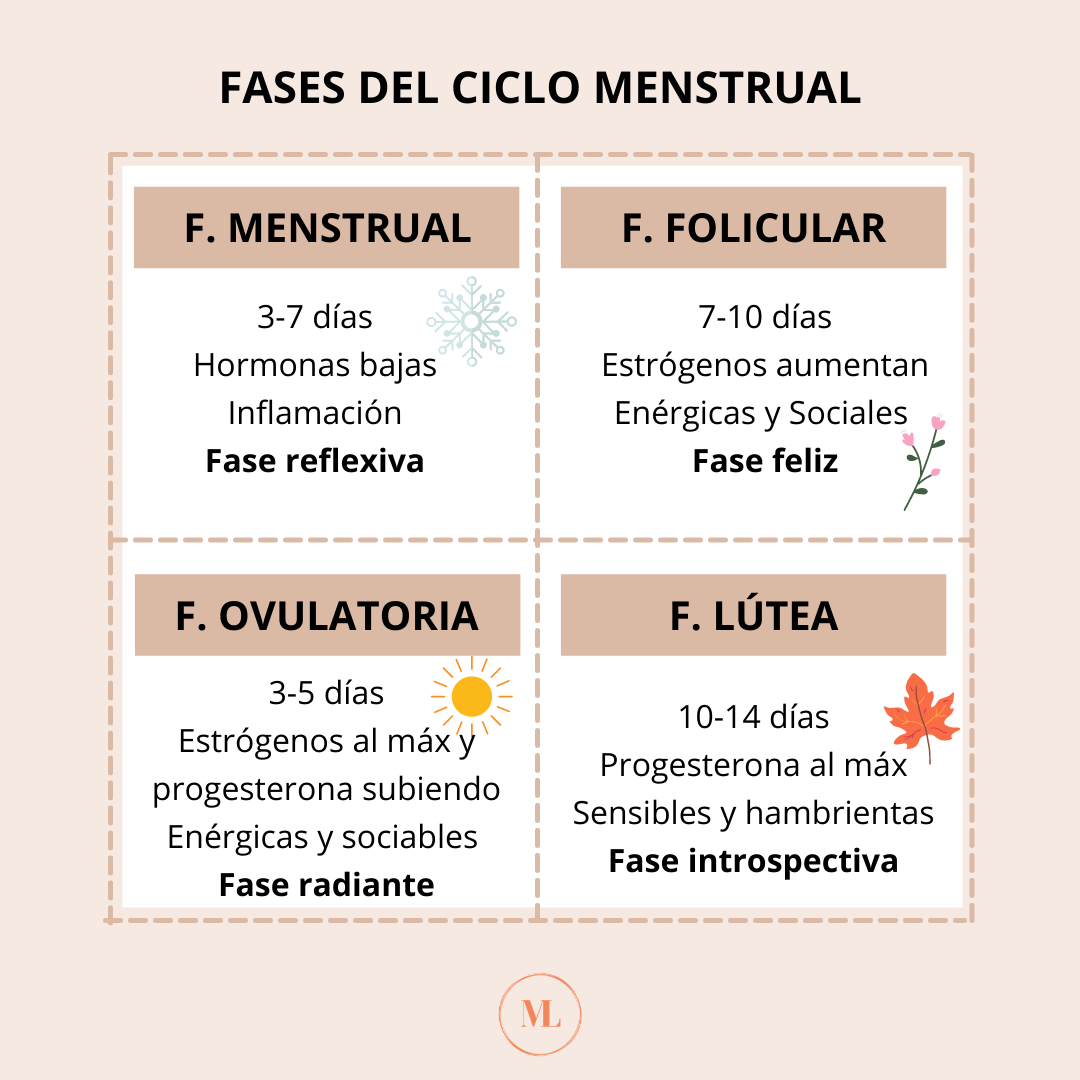 Ciclo Menstrual Y Sus Fases 4195
